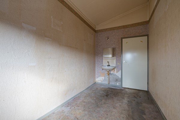 AAP 2026 ODHH 0218 028.jpeg